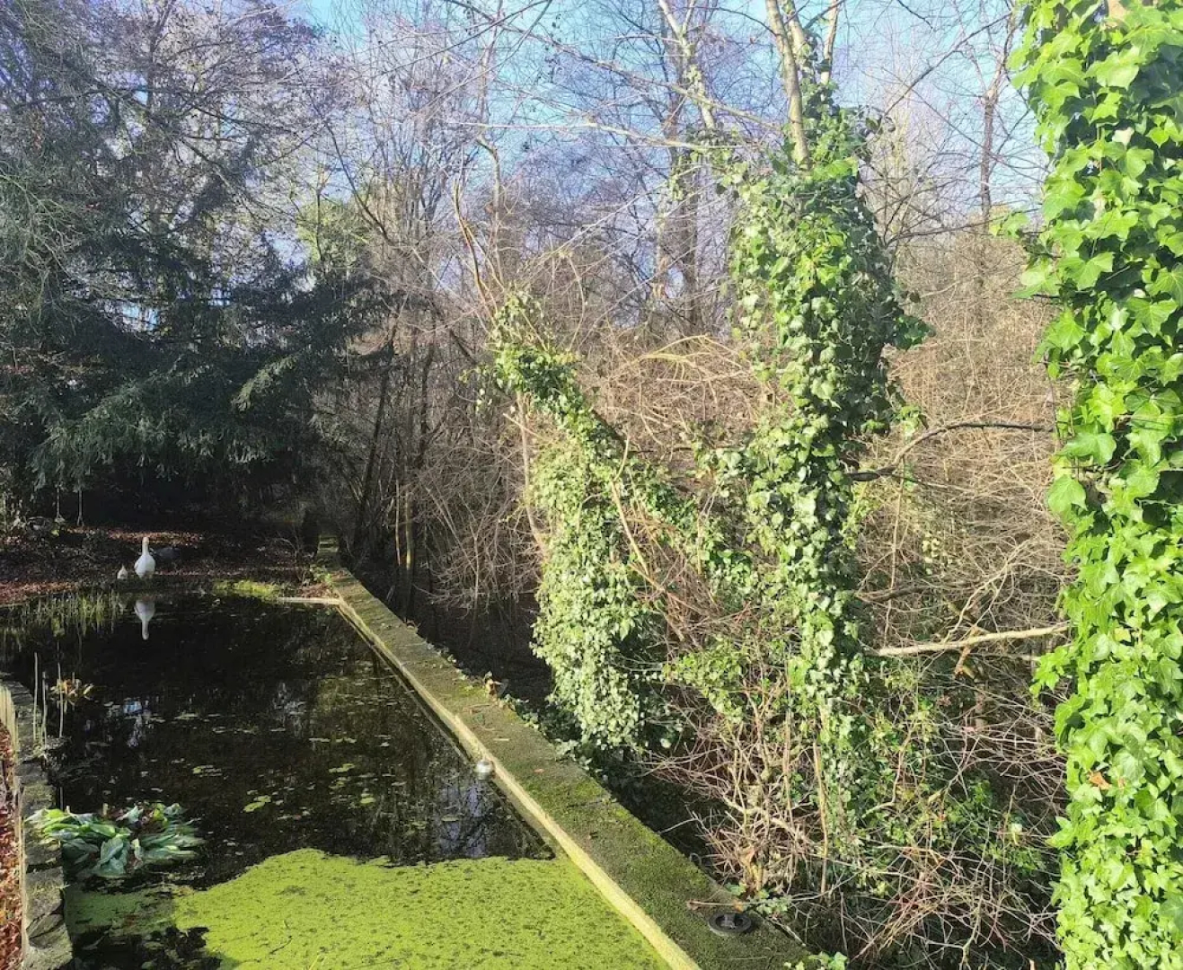 Charming Studio the Heart of the Forest