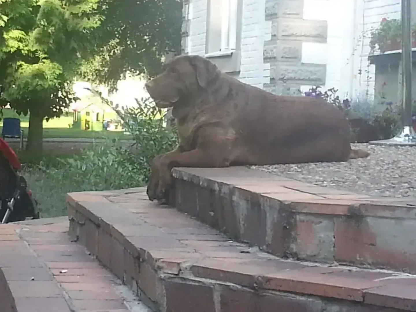 SIESTA Rodinný resort