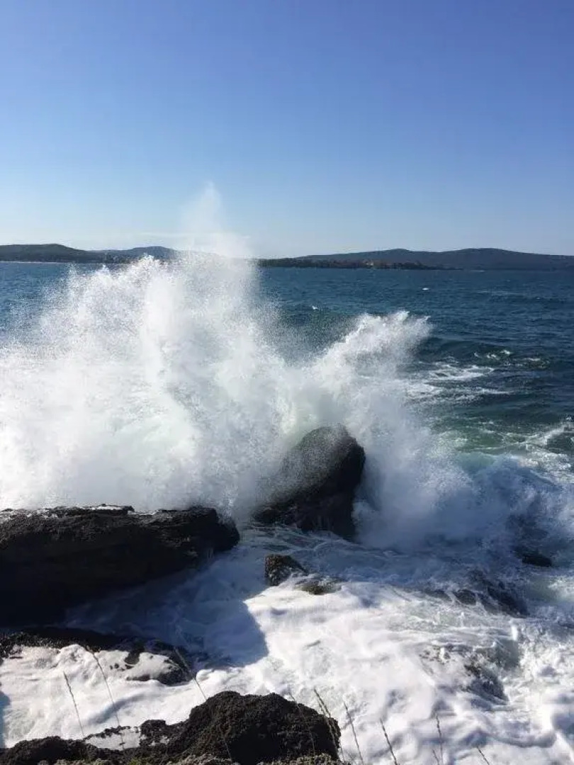 Guest House Urdoviza