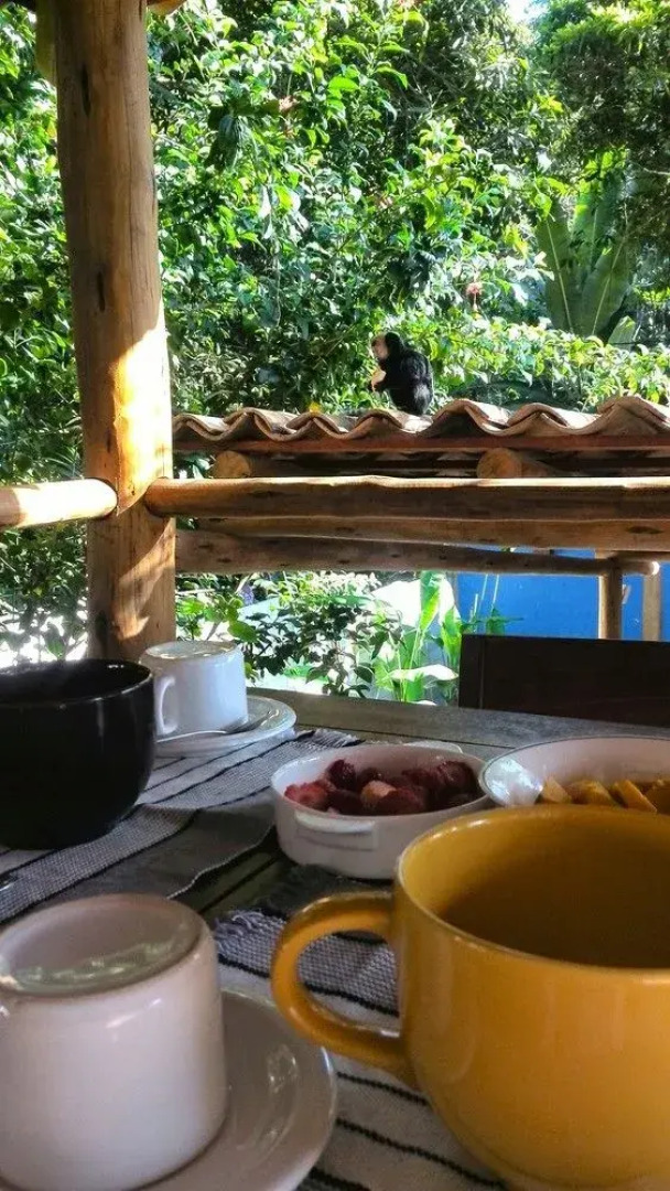 Biribandos Rooms by Trancoso House