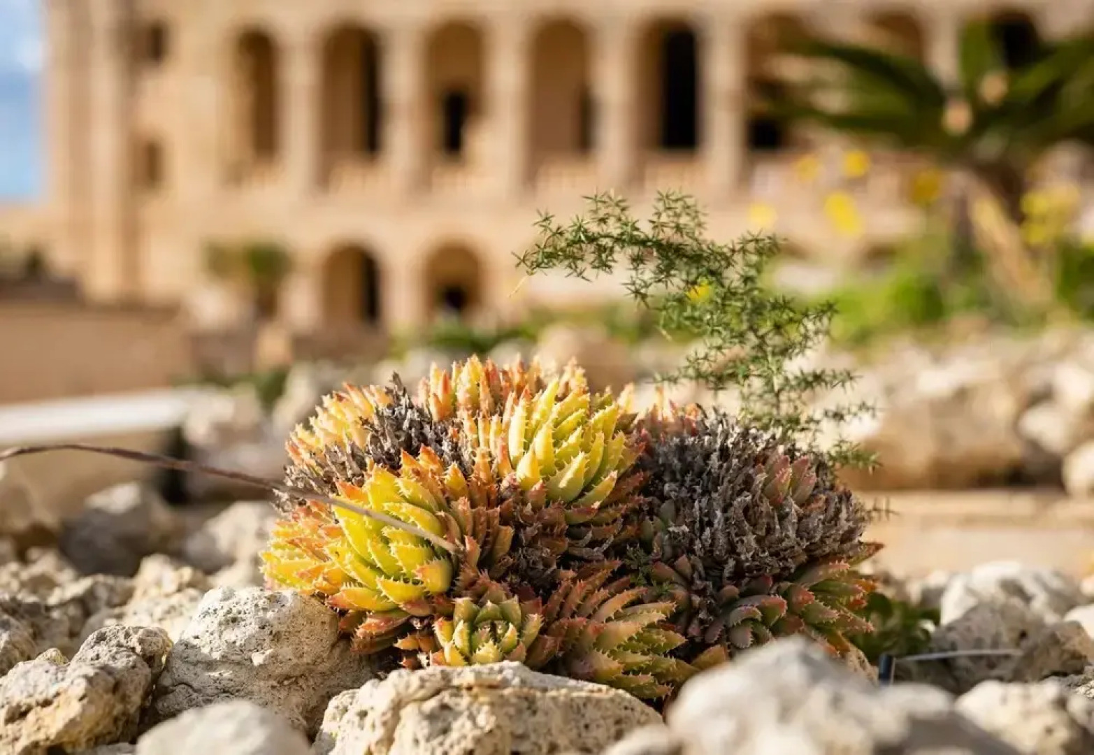 Harbour Views Gozitan Villa + Shared Pool