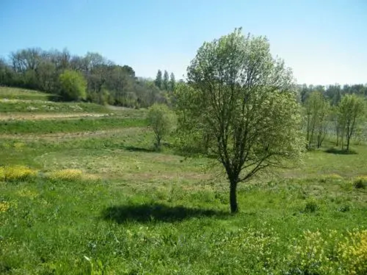 Clos Vieux Rochers Vineyard