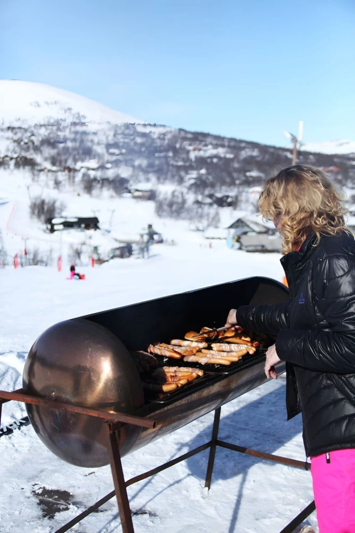 Havsdalsgrenda Apartments