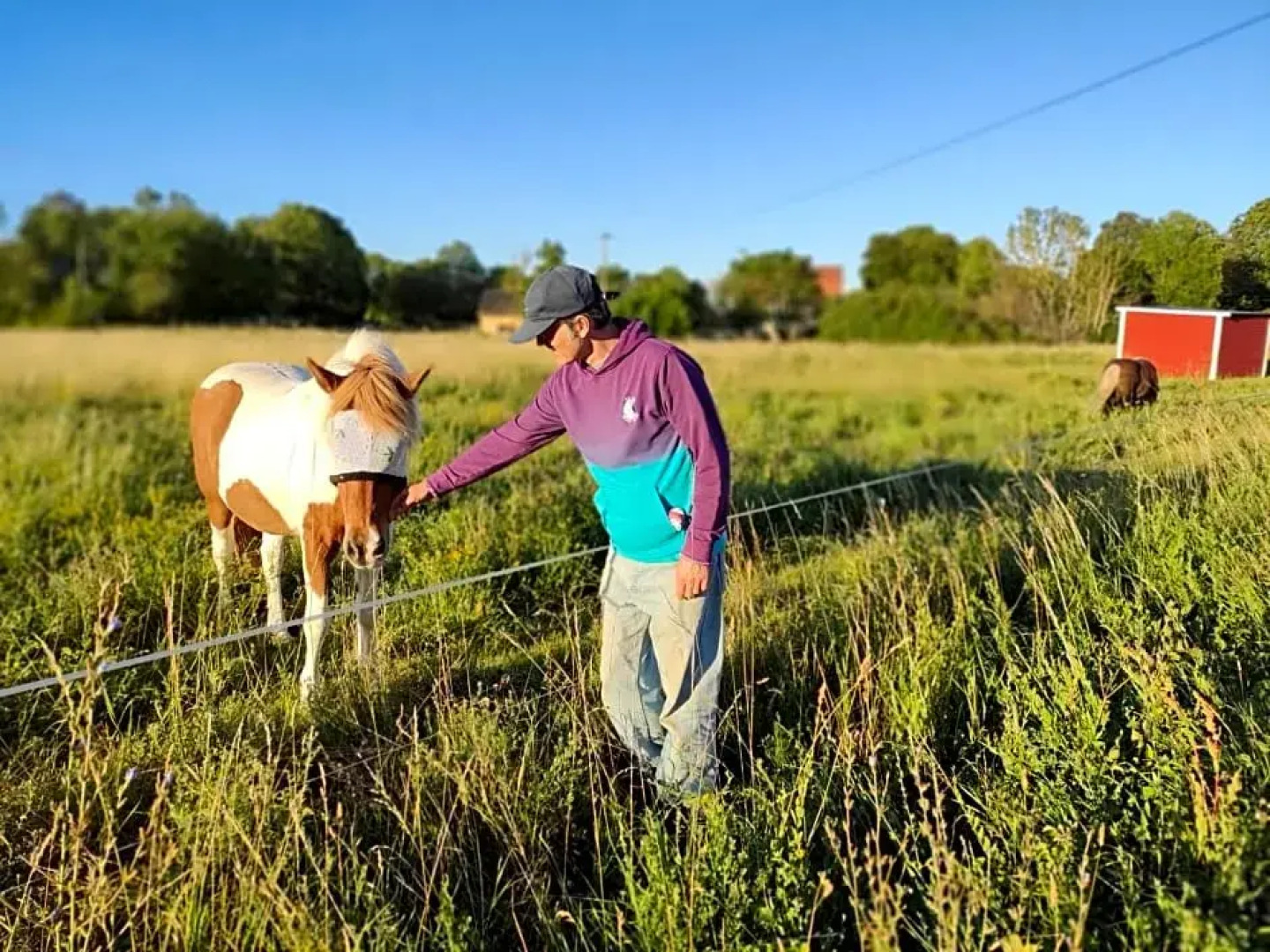 Gothem Viby Bed&Breakfast