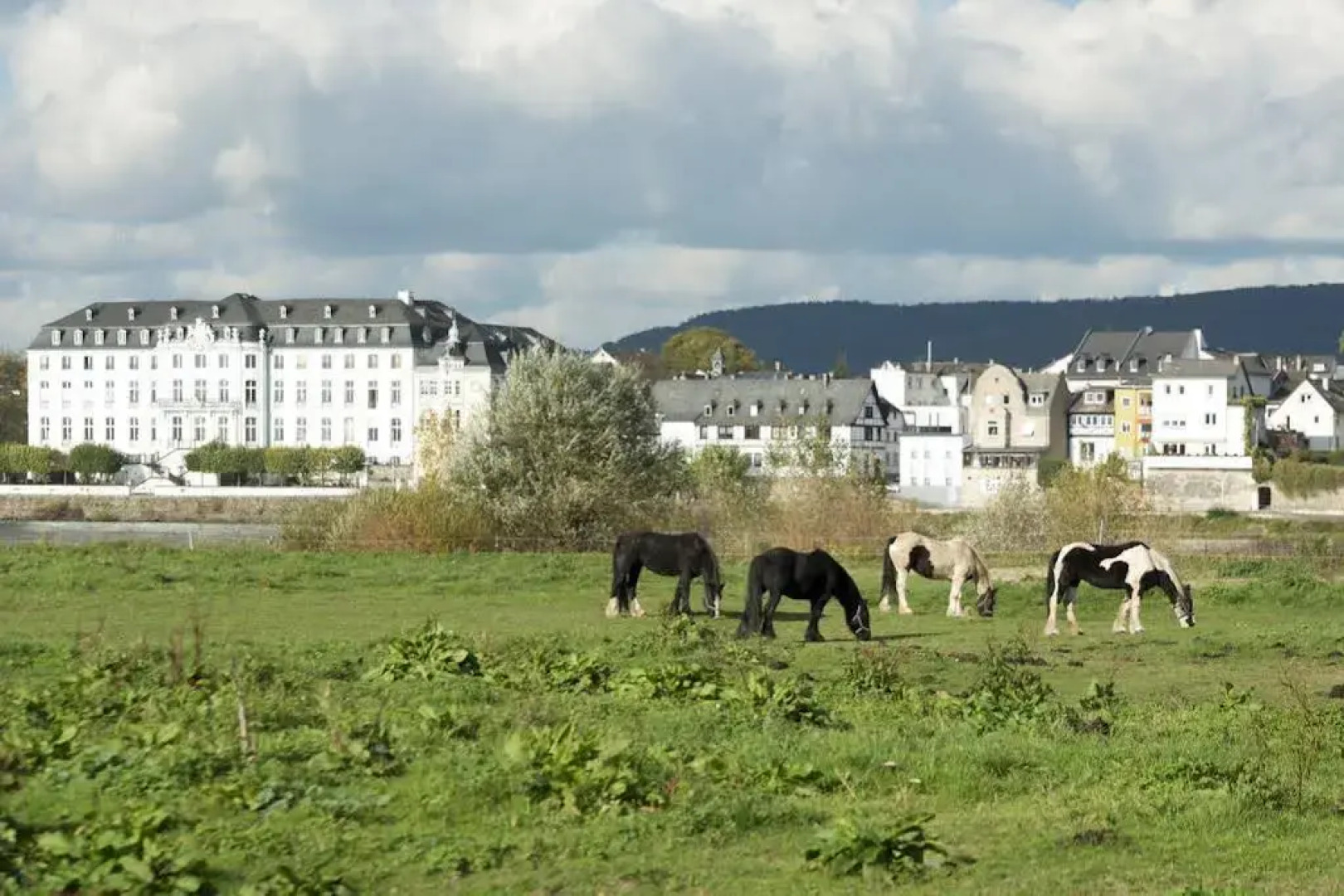 Rheinhotel LARUS