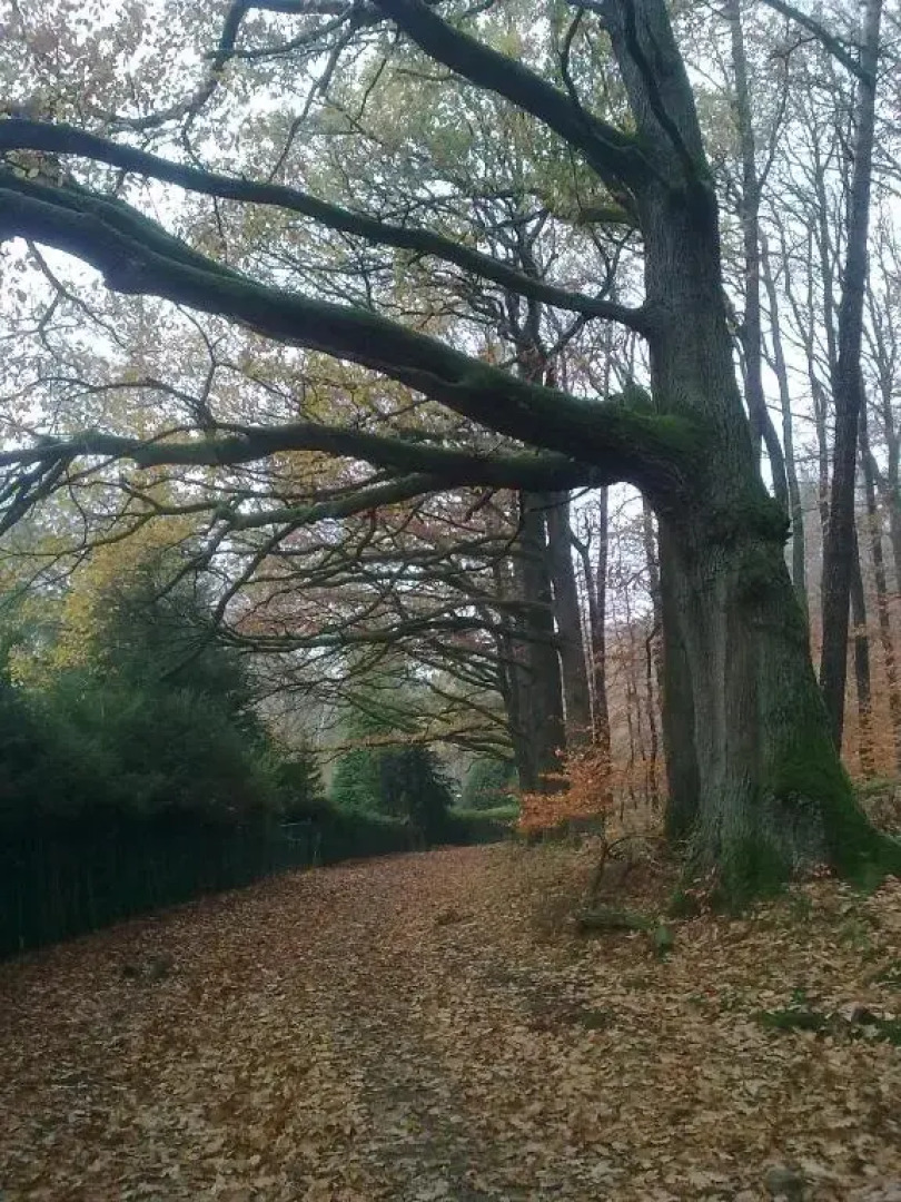 FeWo - Wohlfühlambiente & Gartenparadies