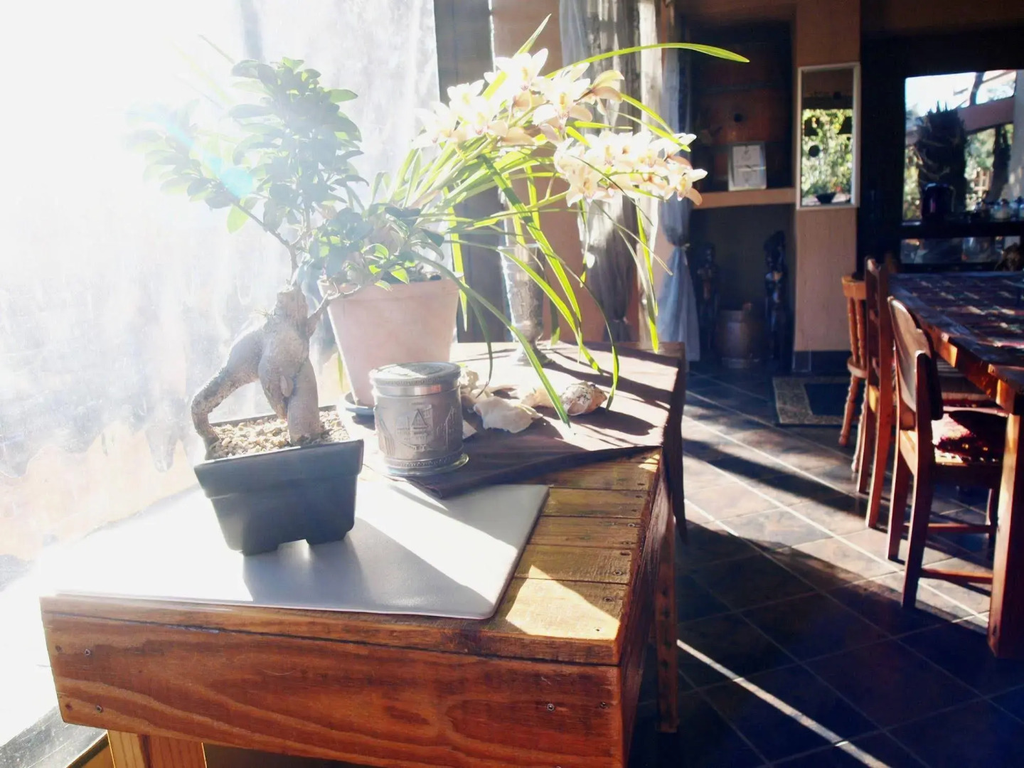 Havana Nights Graskop