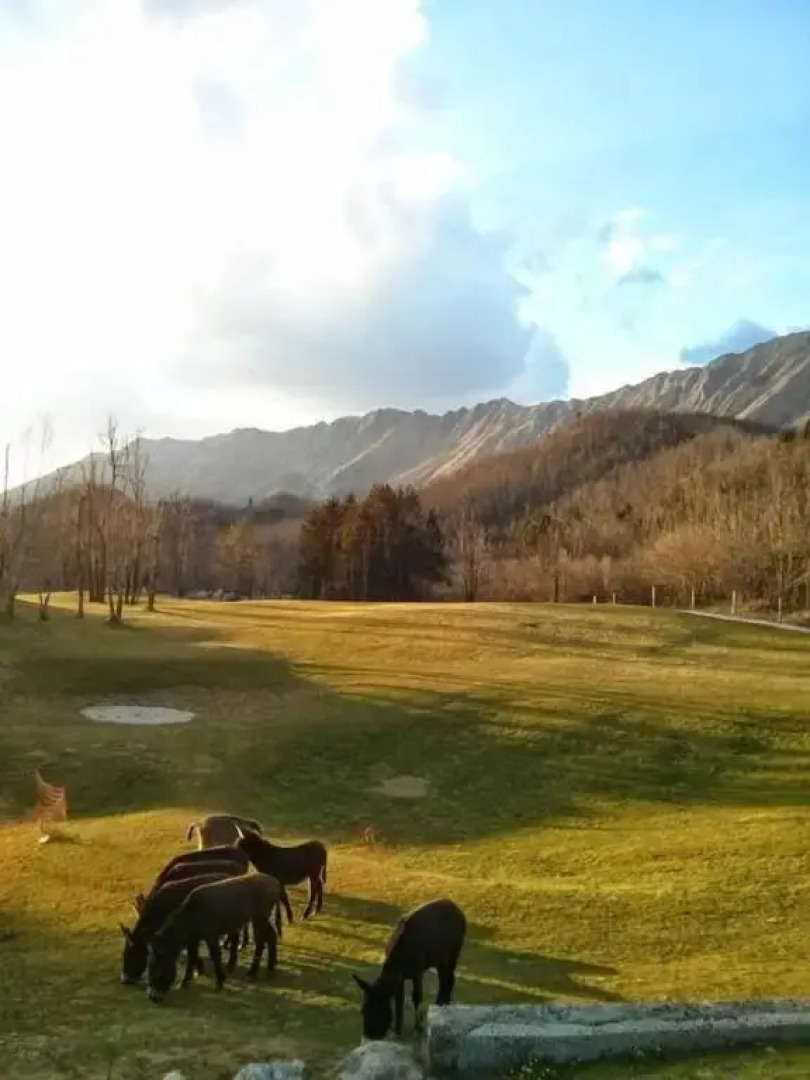 Casa Narauni - Chalet nel Bonis