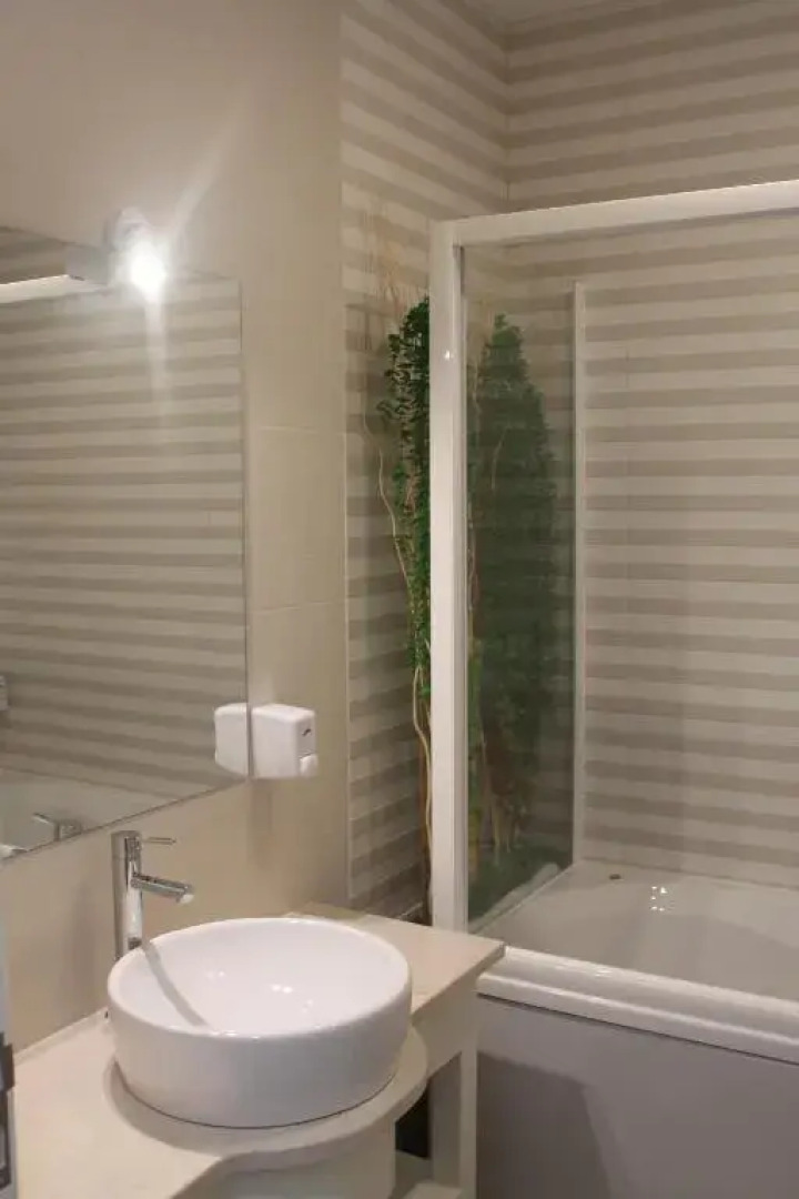 Girassol Alojamento Local