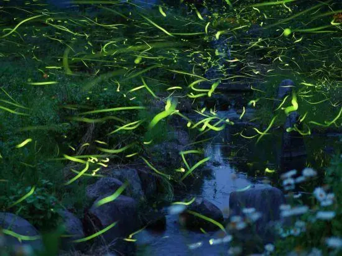 Hito no Yado Takimien