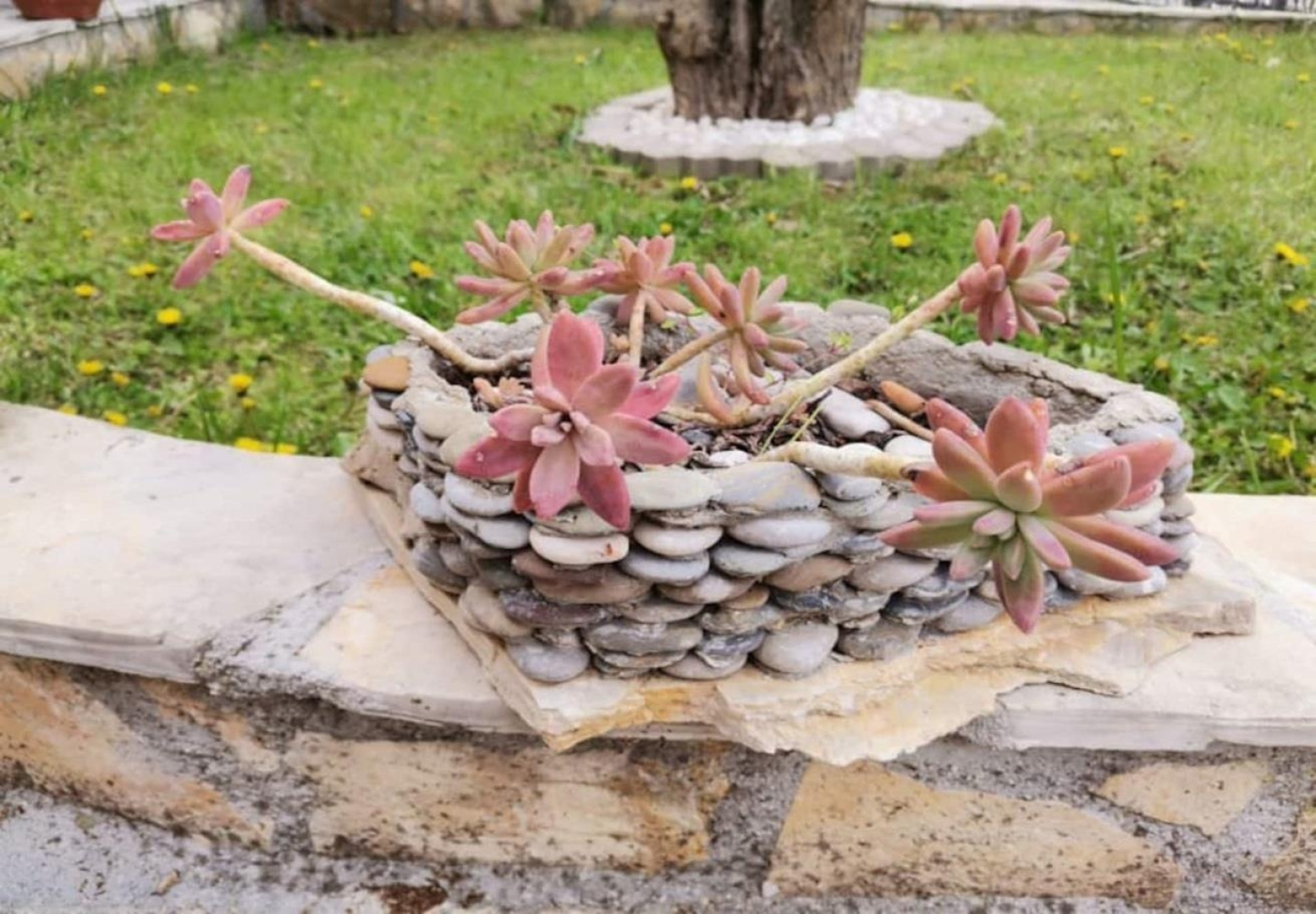 Holiday house Niksi - with pool: Skrip, Island Brac