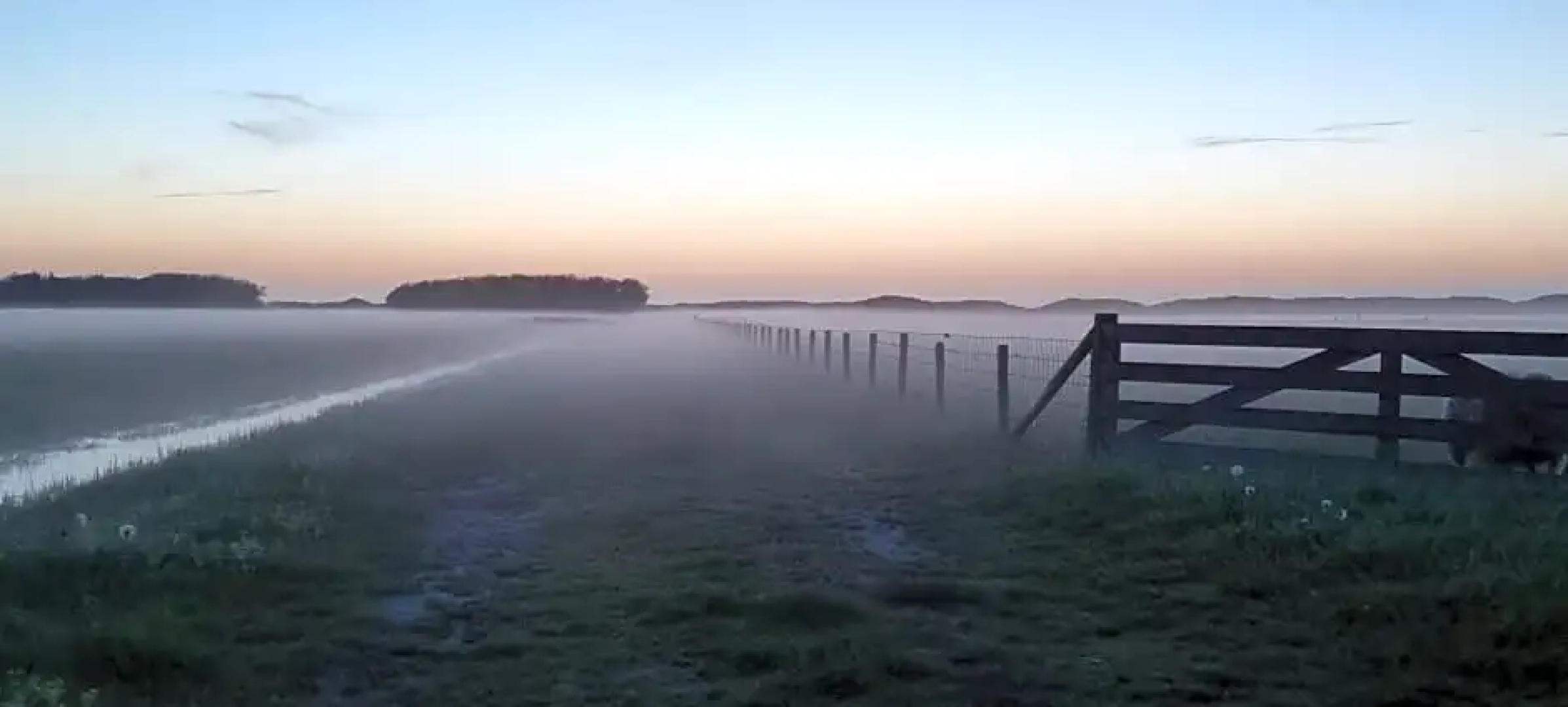Hunsingo Texel