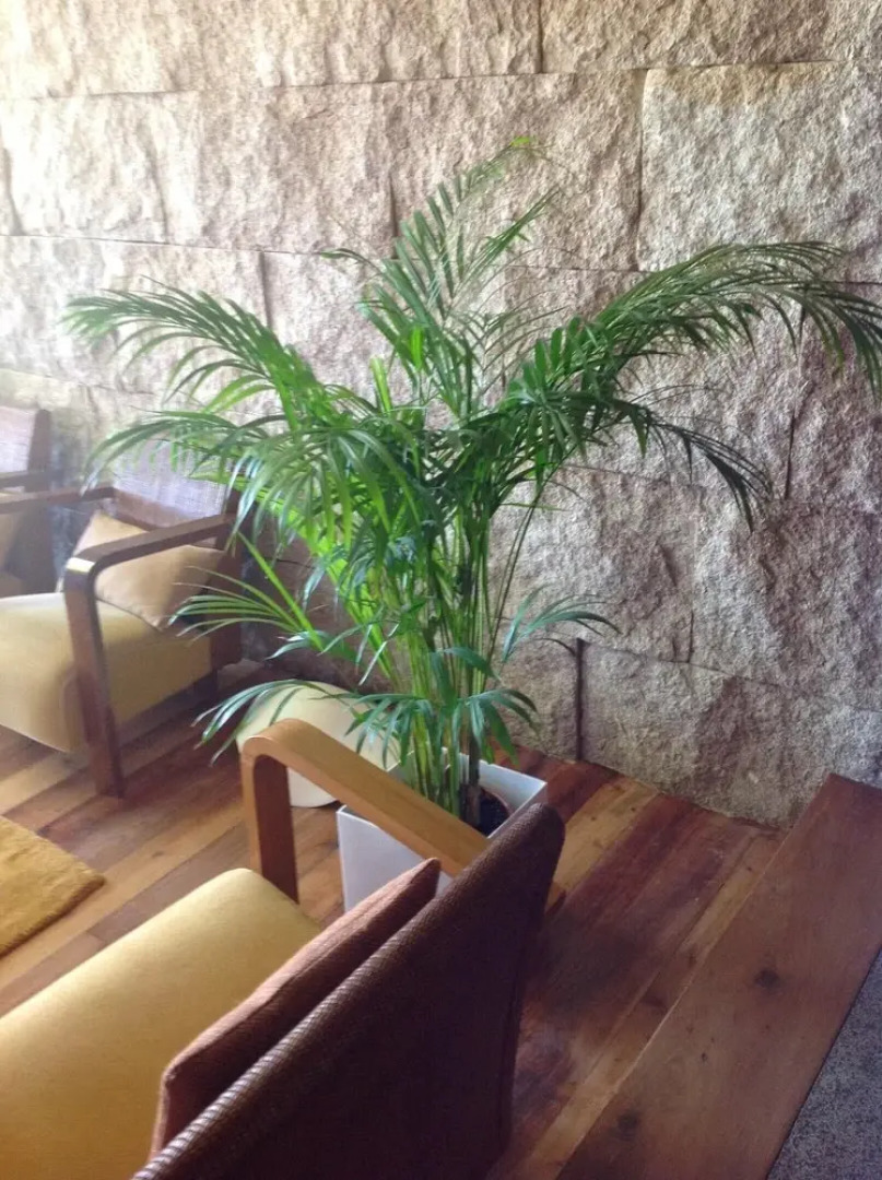 House With 2 Bedrooms in Guilhabreu, With Enclosed Garden and Wifi Near the Beach