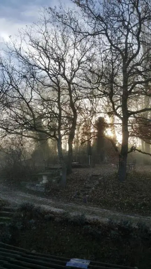 Residence Les Rossignols