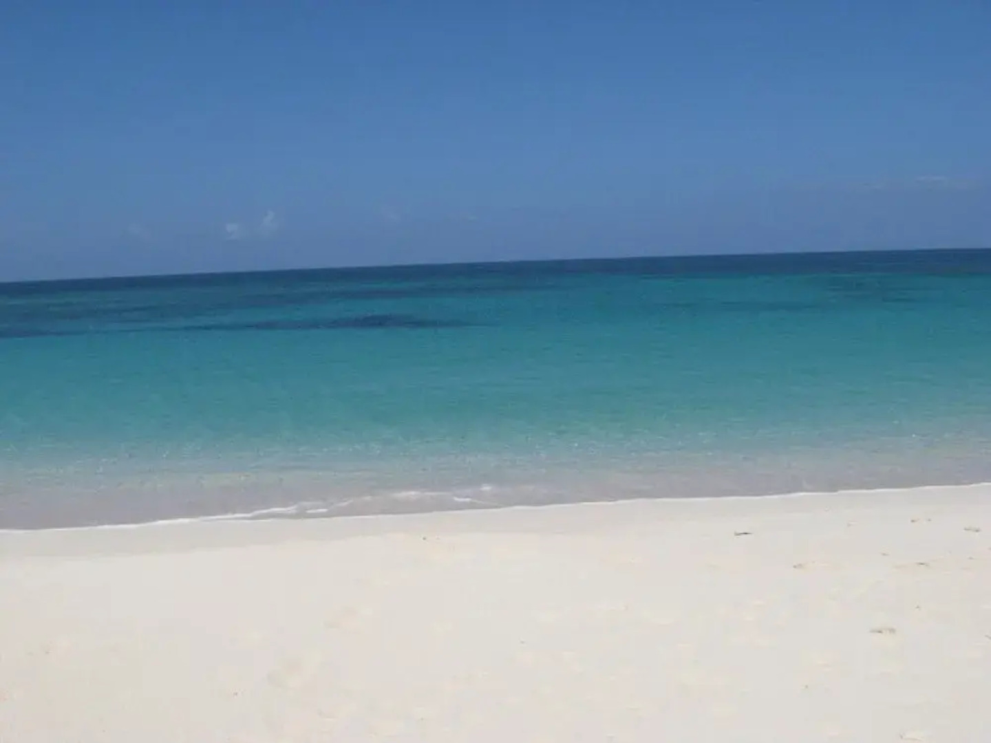 Buttonwood Reserve 1C