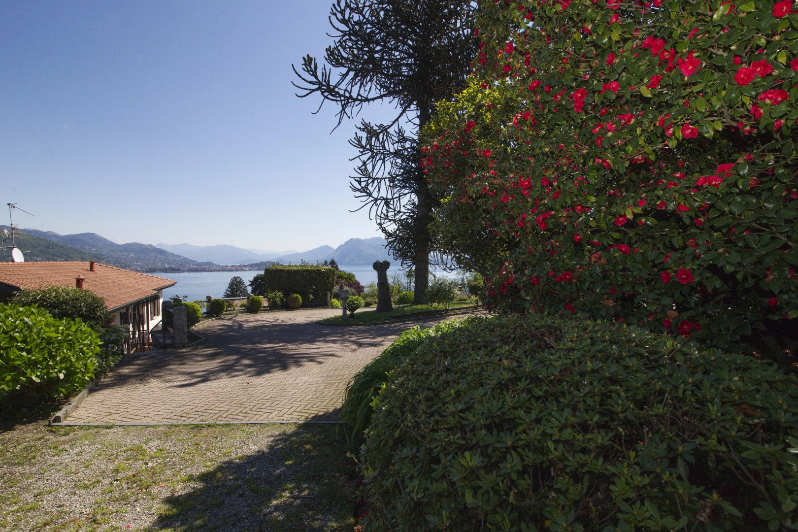 The Cottage on the Lake