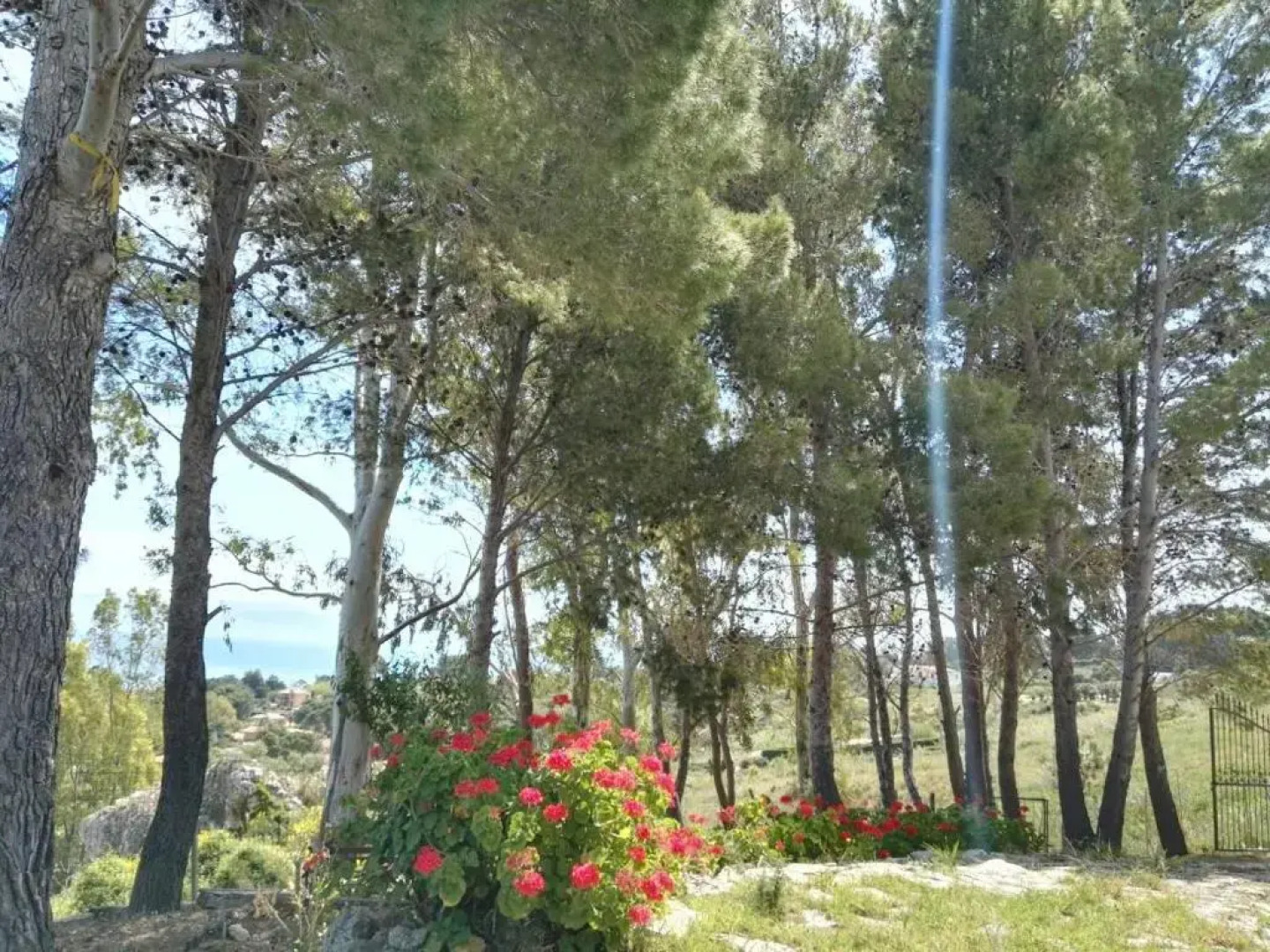 Villa del Mar Scopello