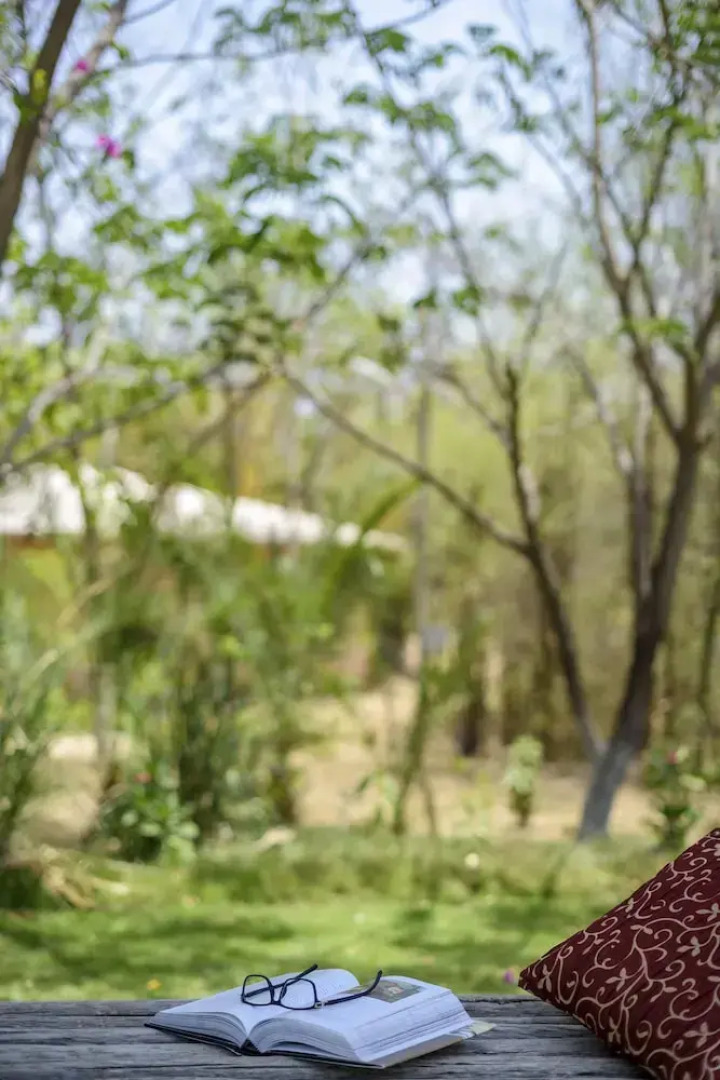 The Riverwood Forest Retreat - Pench