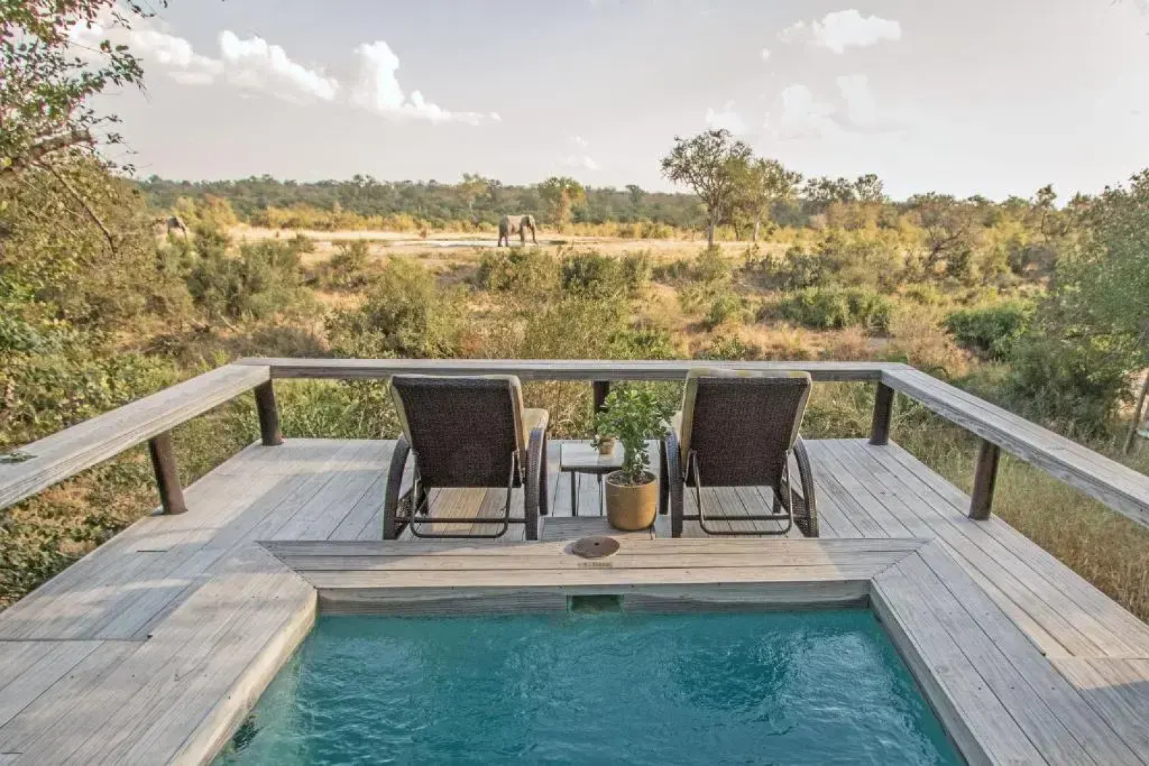 Thornybush Simbambili Lodge