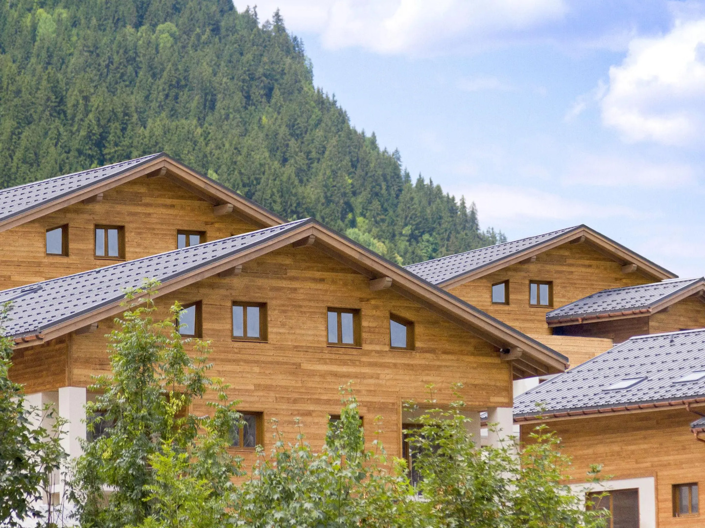 Chic apartment 300 m from the ski lift in a mountain village