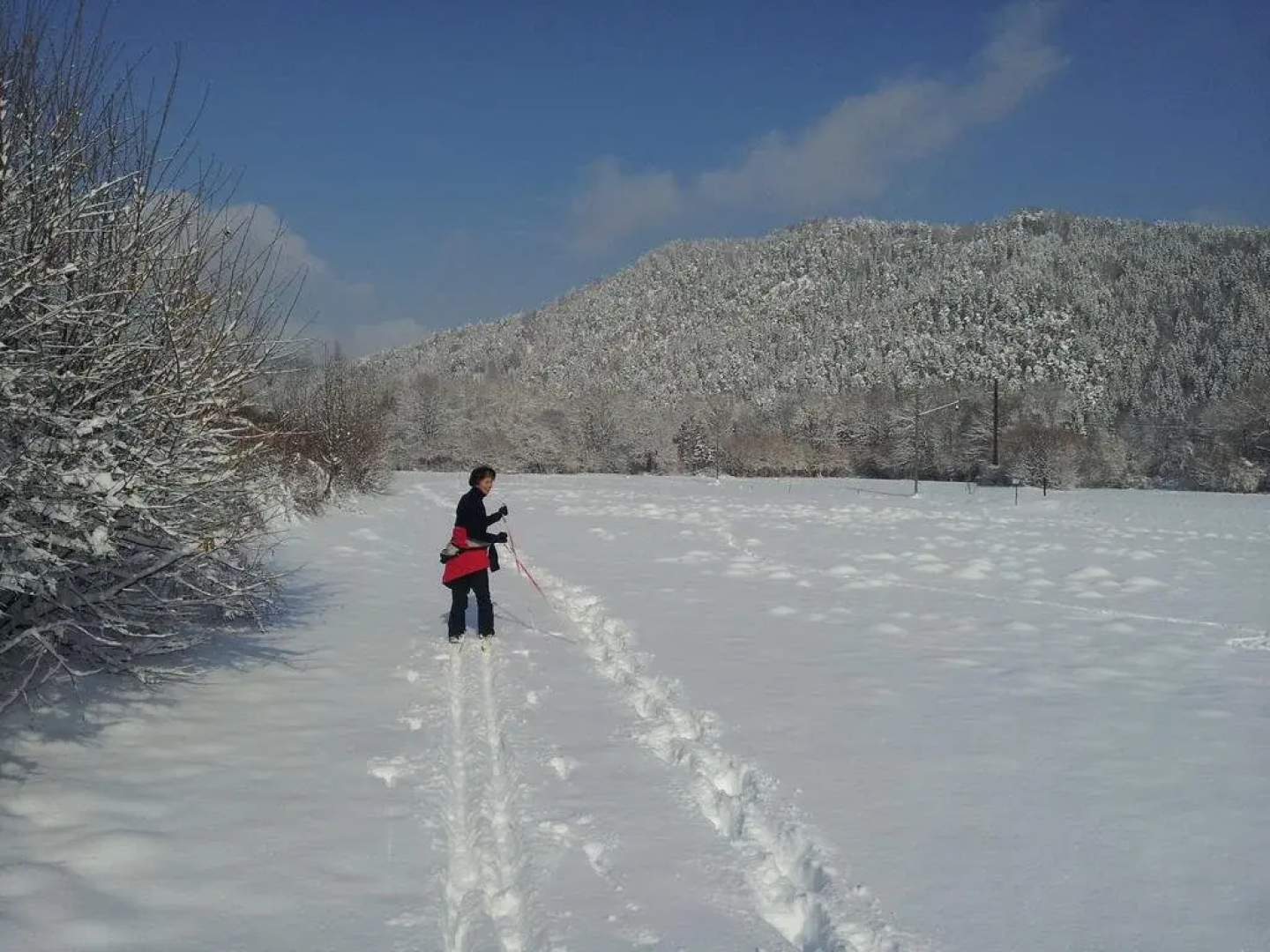 Prenning's Garten Gastwerkstaette