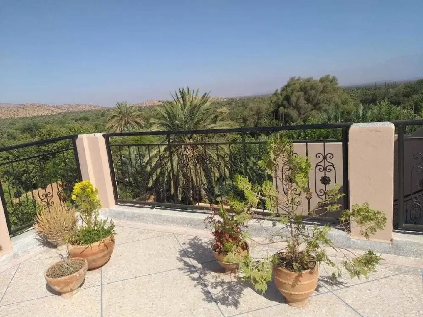 Maison d'hôte Oasis de Tioute