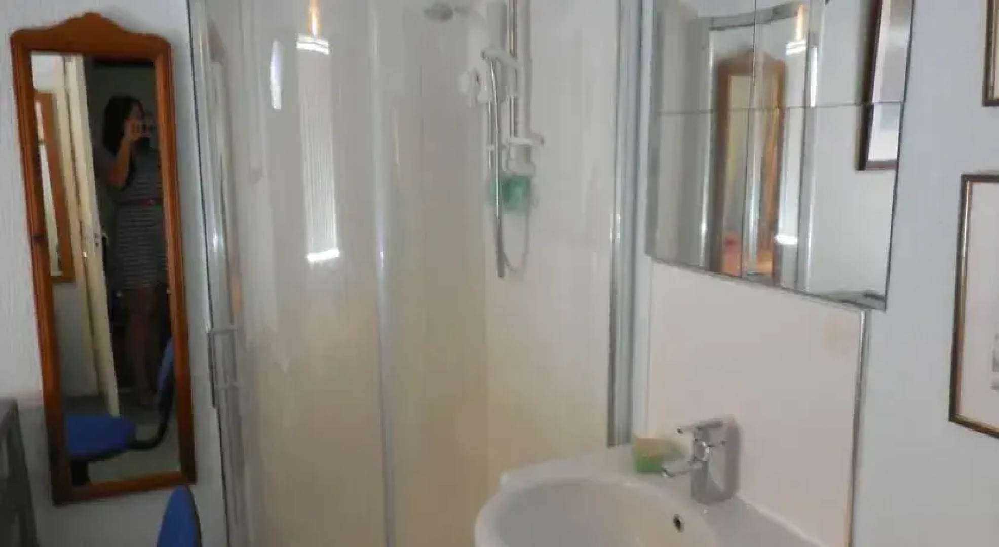 The Tulip Tree Guest House