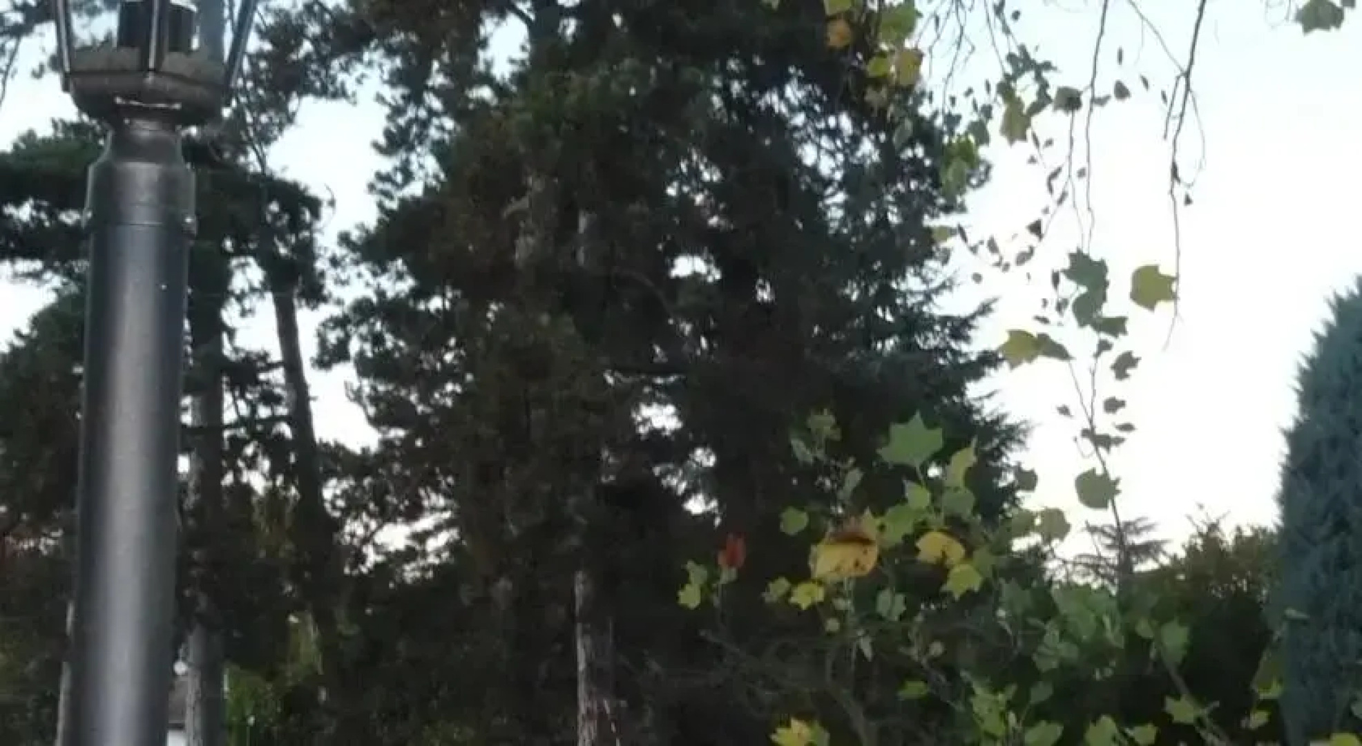 La Maison de Roussille