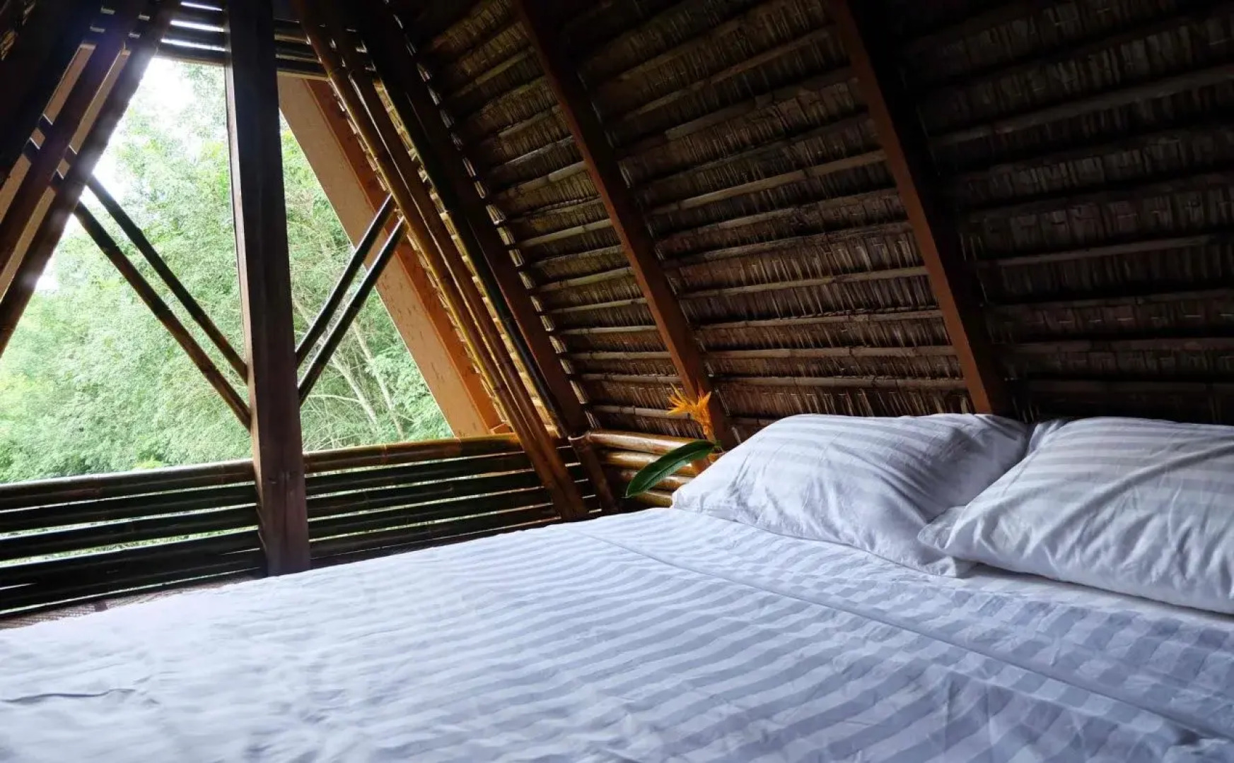 Pi Creek Hideaway Resort