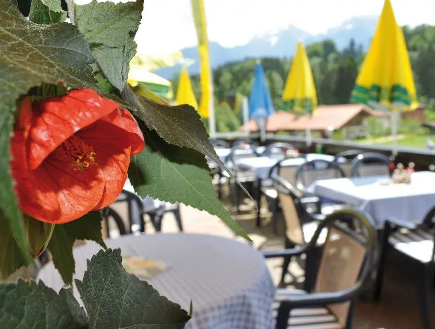 Hotel - Gasthof Gebirgshäusl