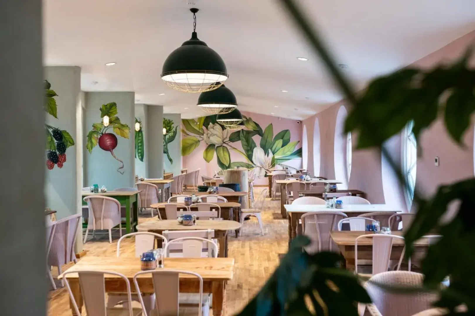 The Forest at Mount Congreve Gardens