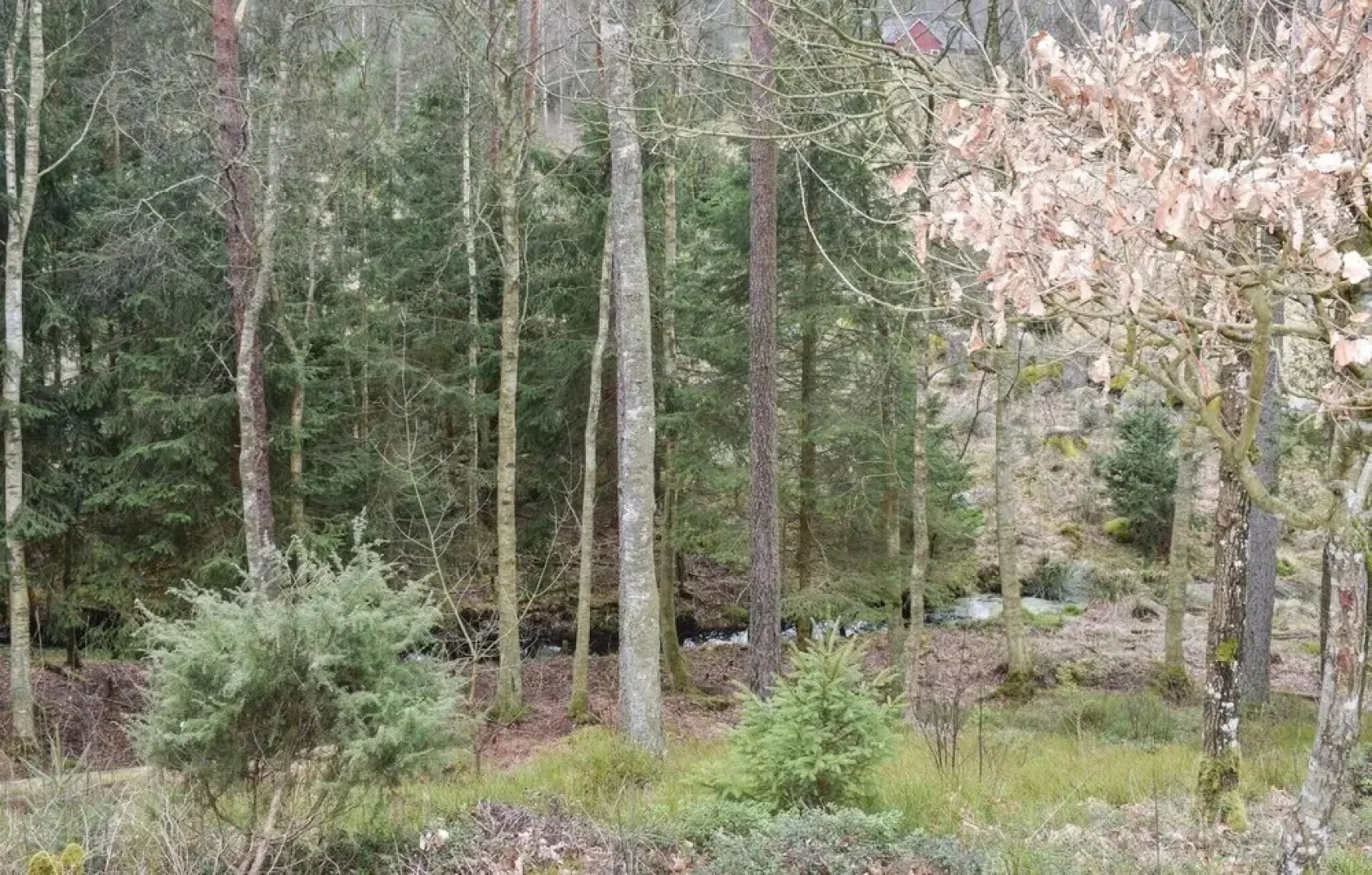 Nice Home in Knäred With 2 Bedrooms