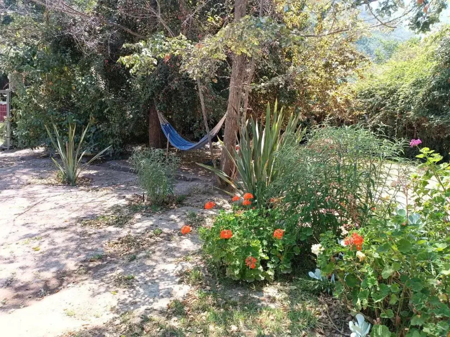 Lodge El Tiempo Es Arte