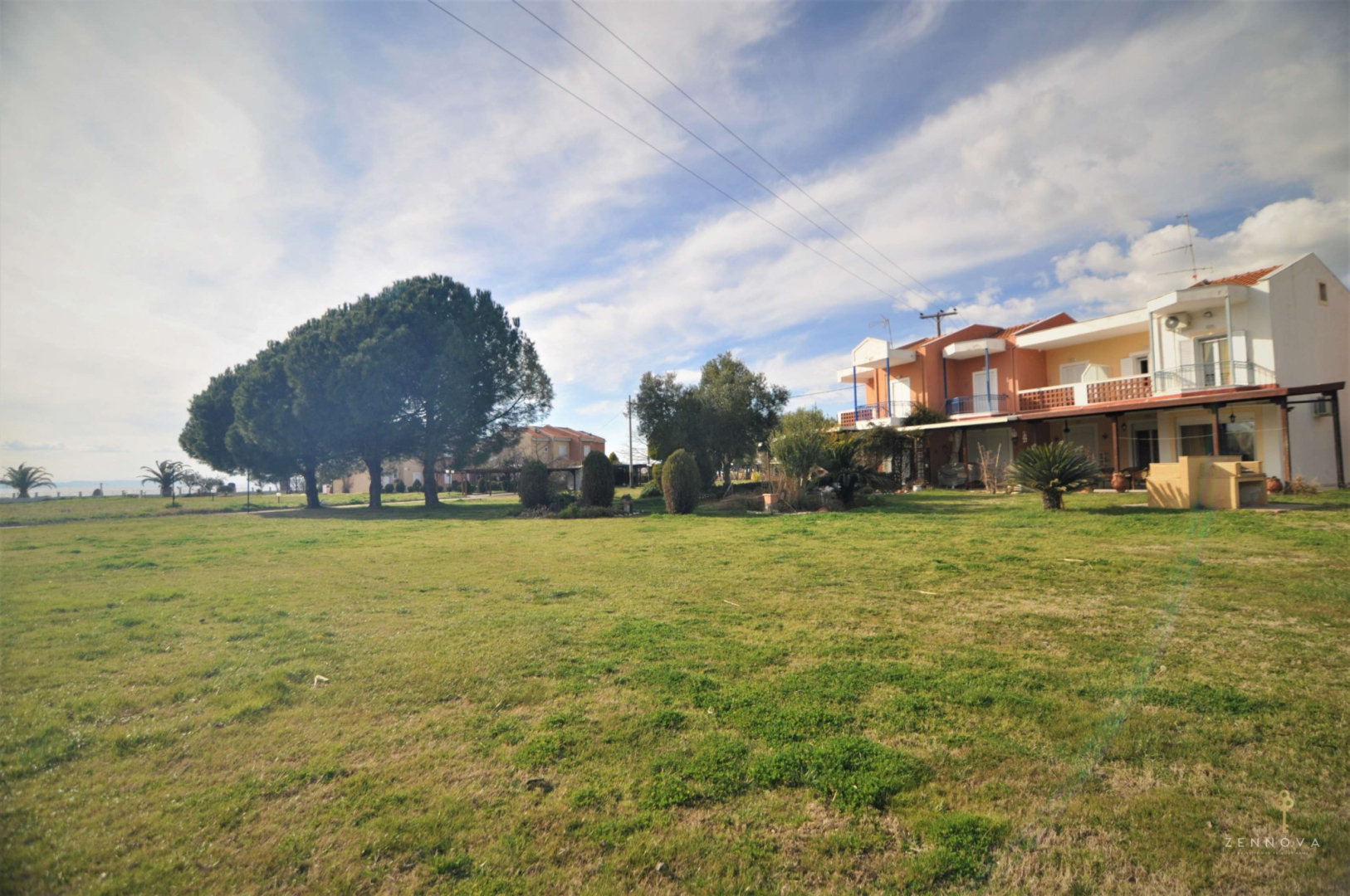 Zennova #25 Blue Pearl Tripotamos