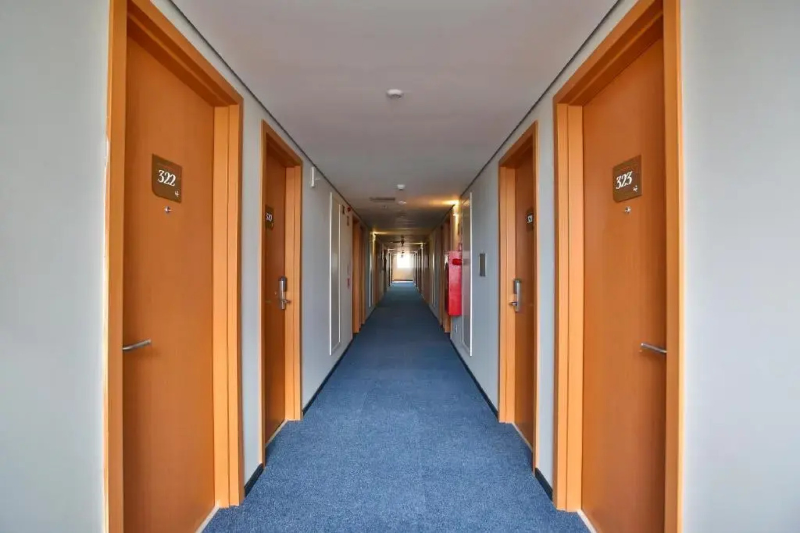 Fit Transamerica Sinop