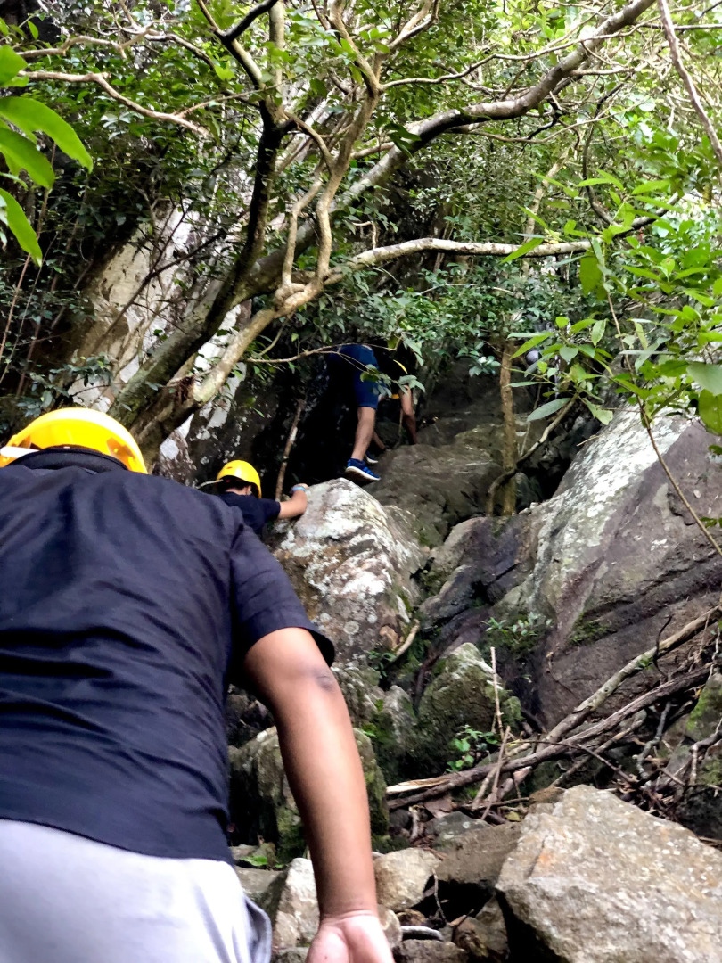 Arangala Forest Lodge