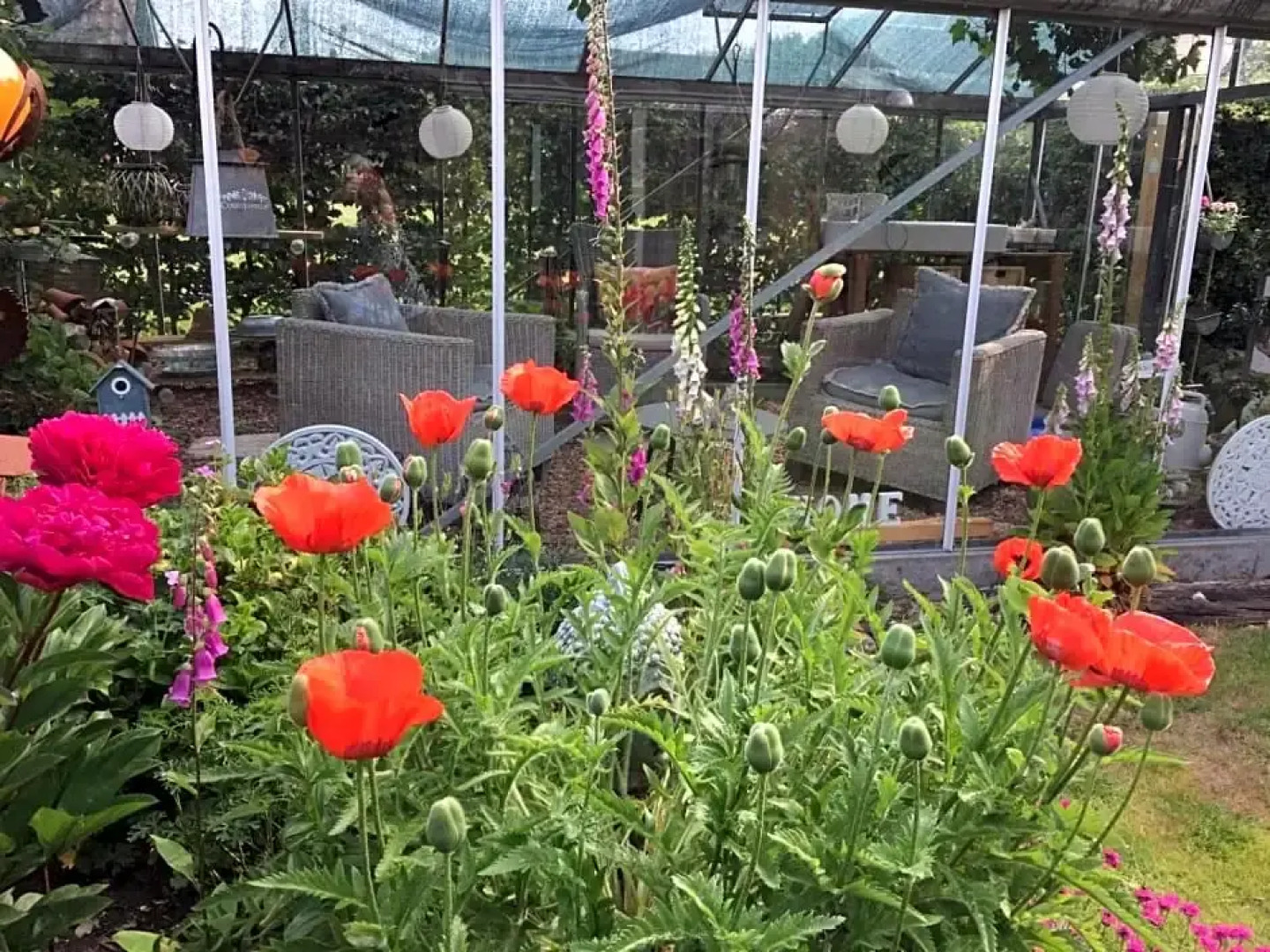 T’ Hogeland Ainrom