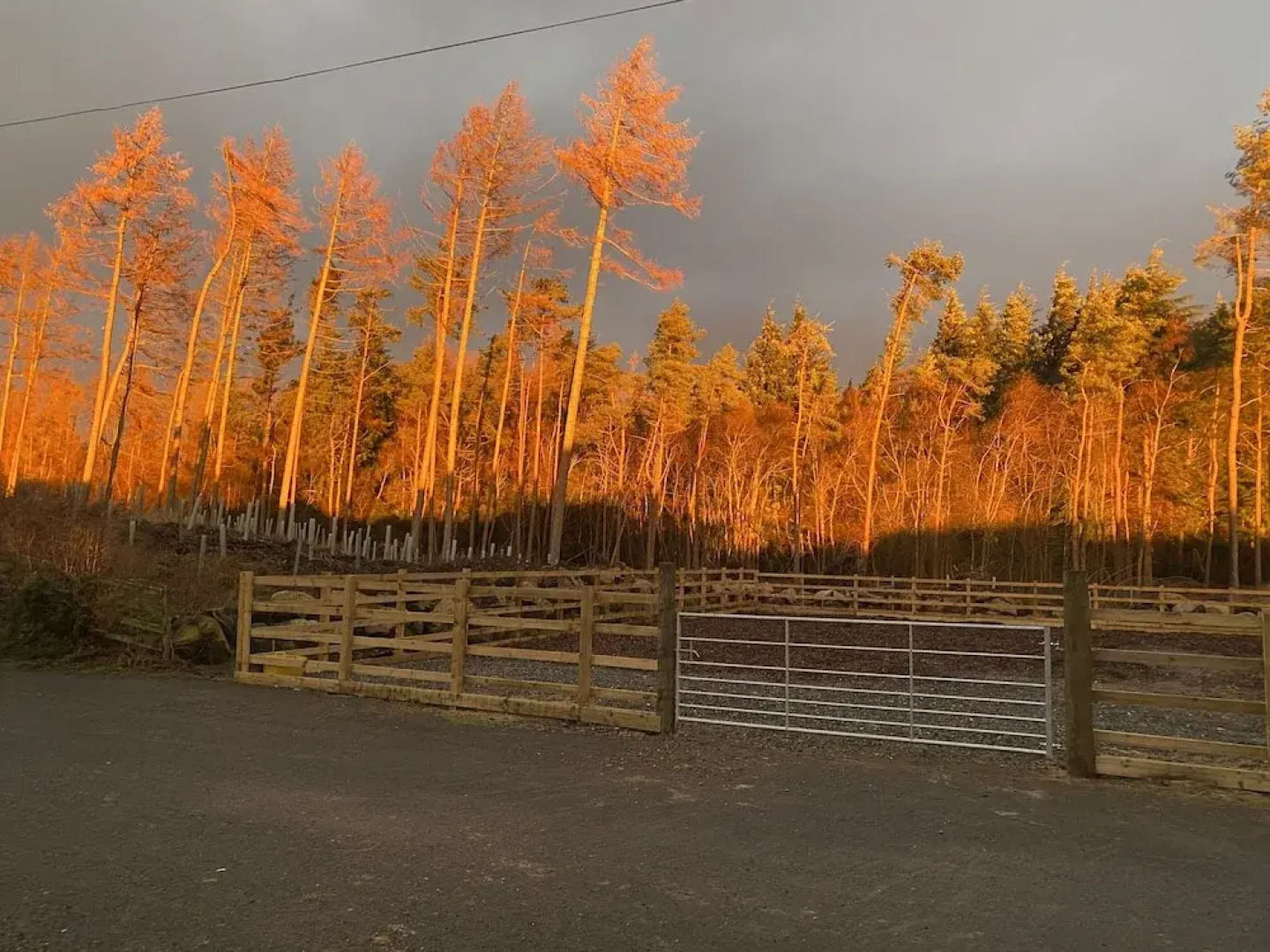 The Annex at Meeks Park Immaculate 2 bed