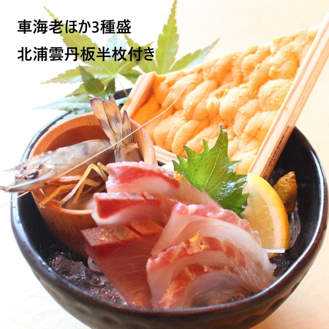 Ajisu Onsen Teshima Ryokan