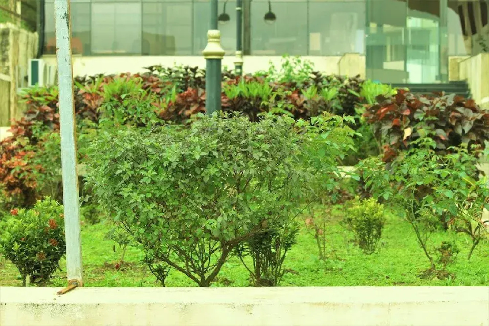 White Feather Toran Resort