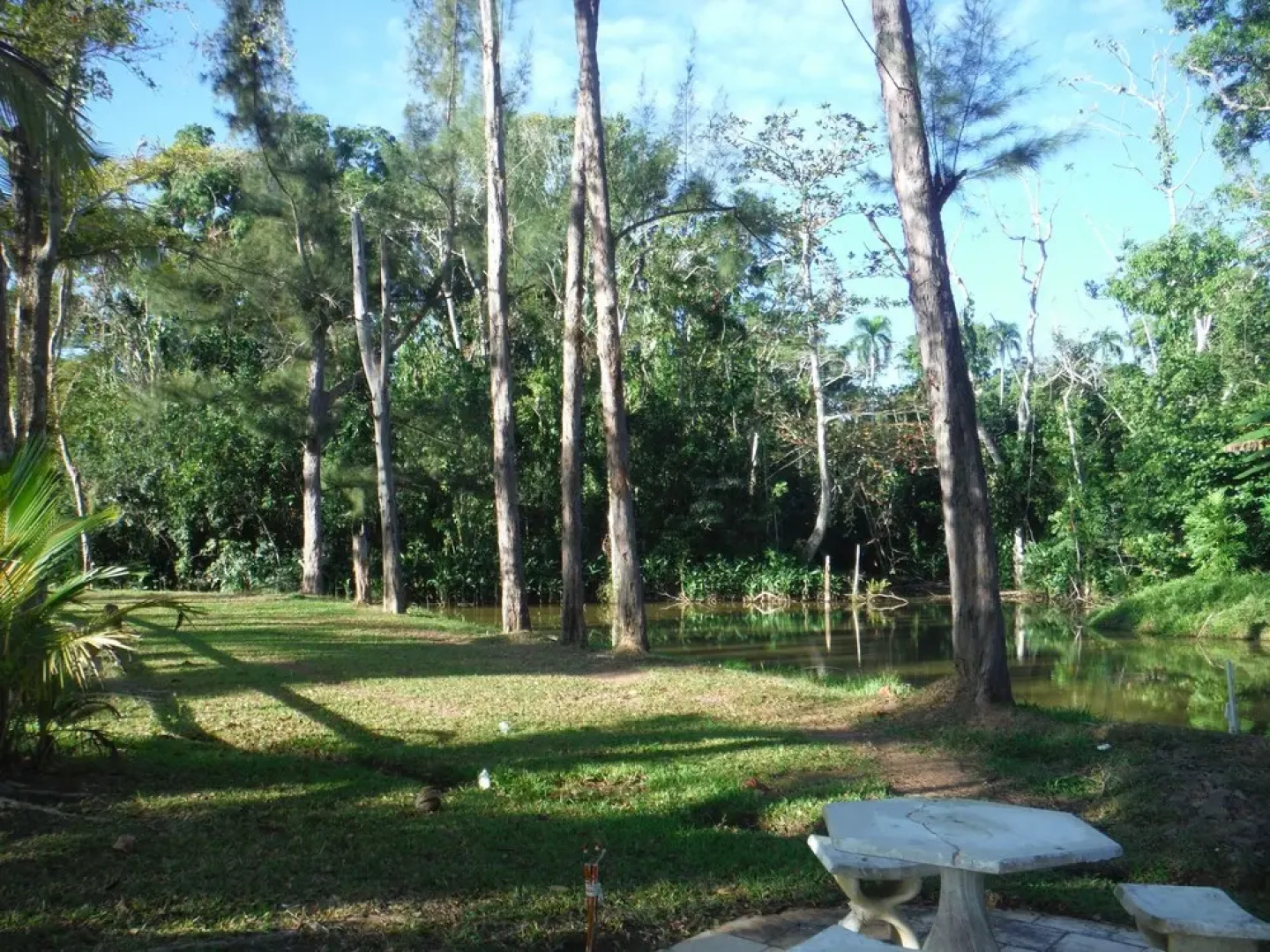 Villas Del Rey Hotel