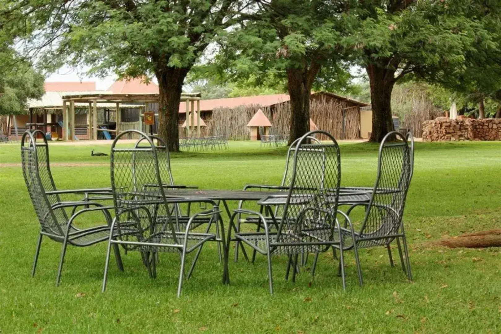 Sondela Nature Reserve & Spa Moselesele Tents
