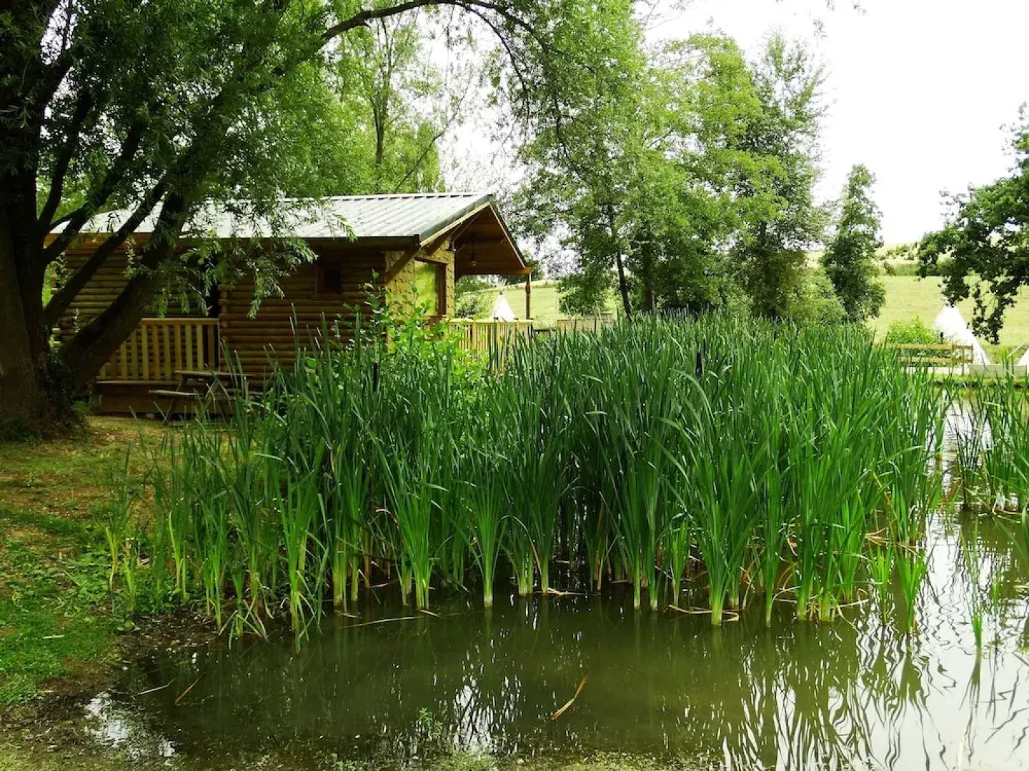 Les Etangs du Moulin