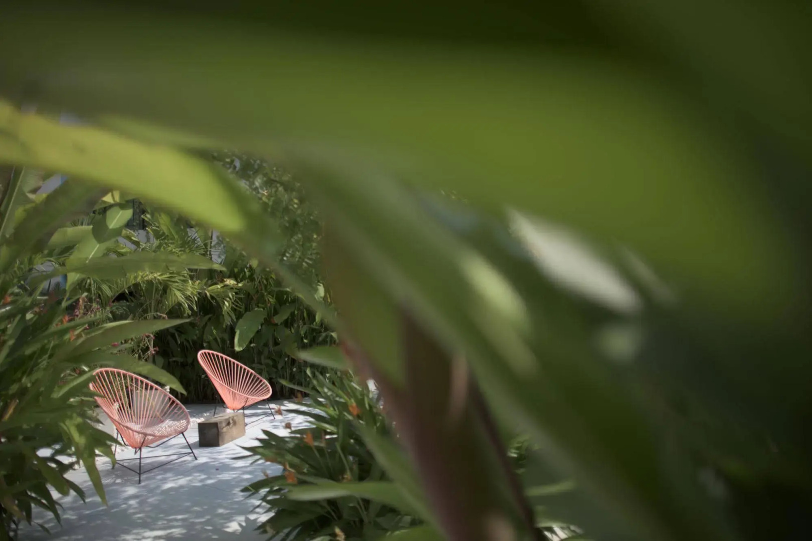 San Trópico Boutique Hotel & Peaceful Escape