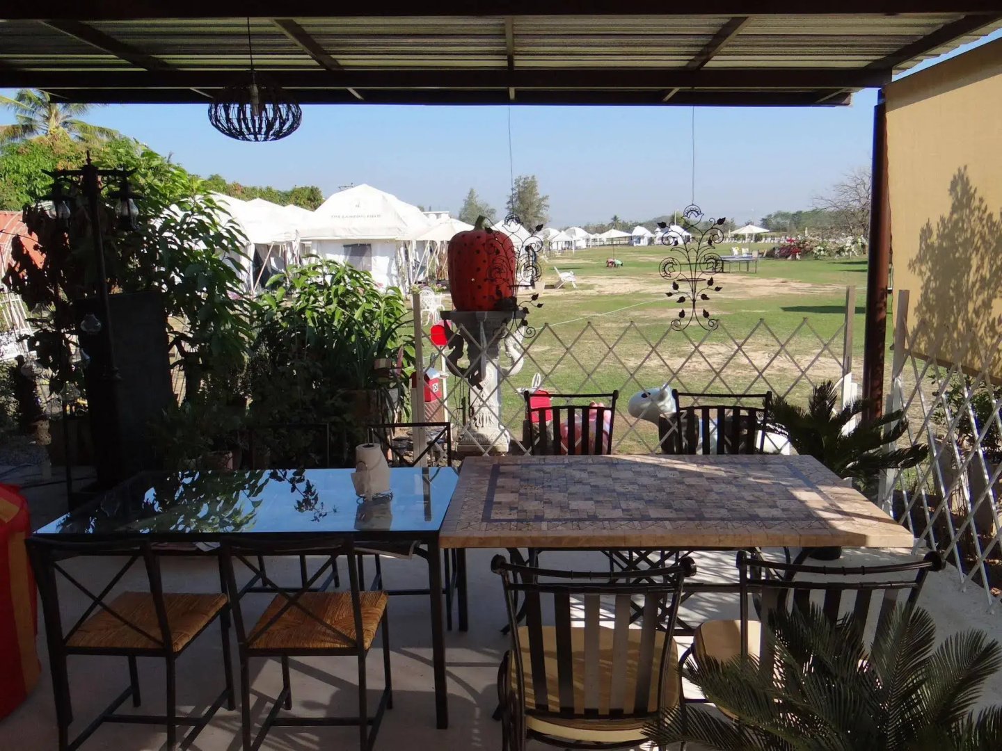 The Camping Field