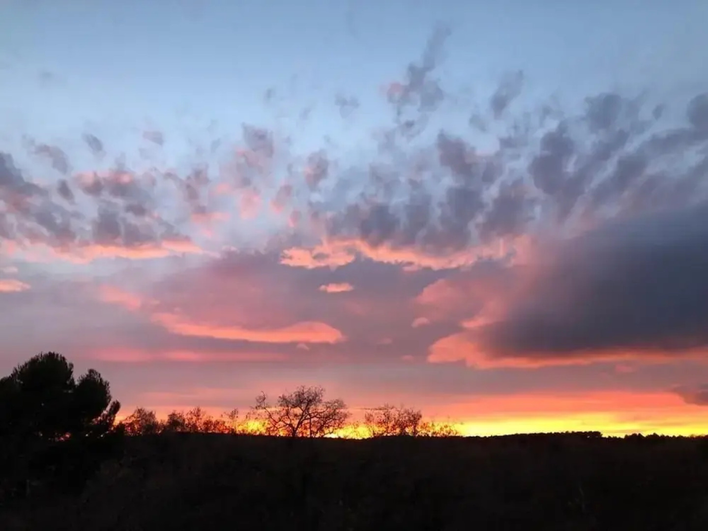 Hospederia Casa Martell