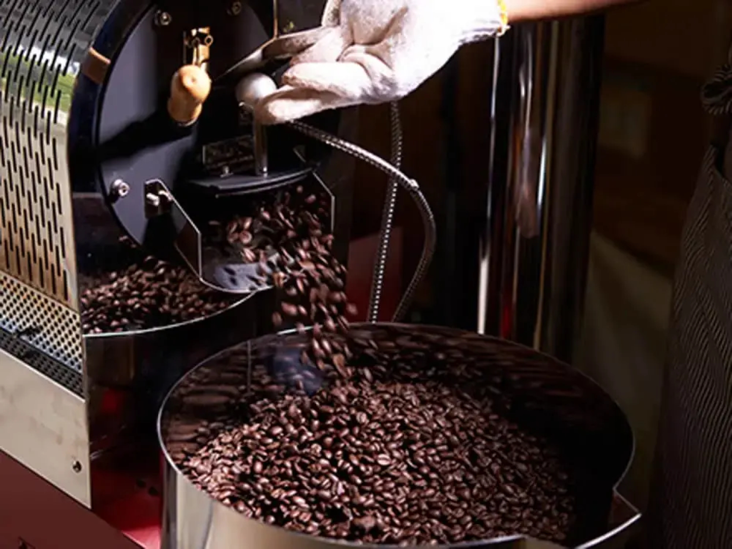 Matayoshi Coffee Farm