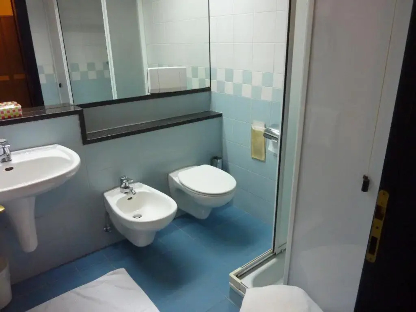 Hotel Raffaello Venice