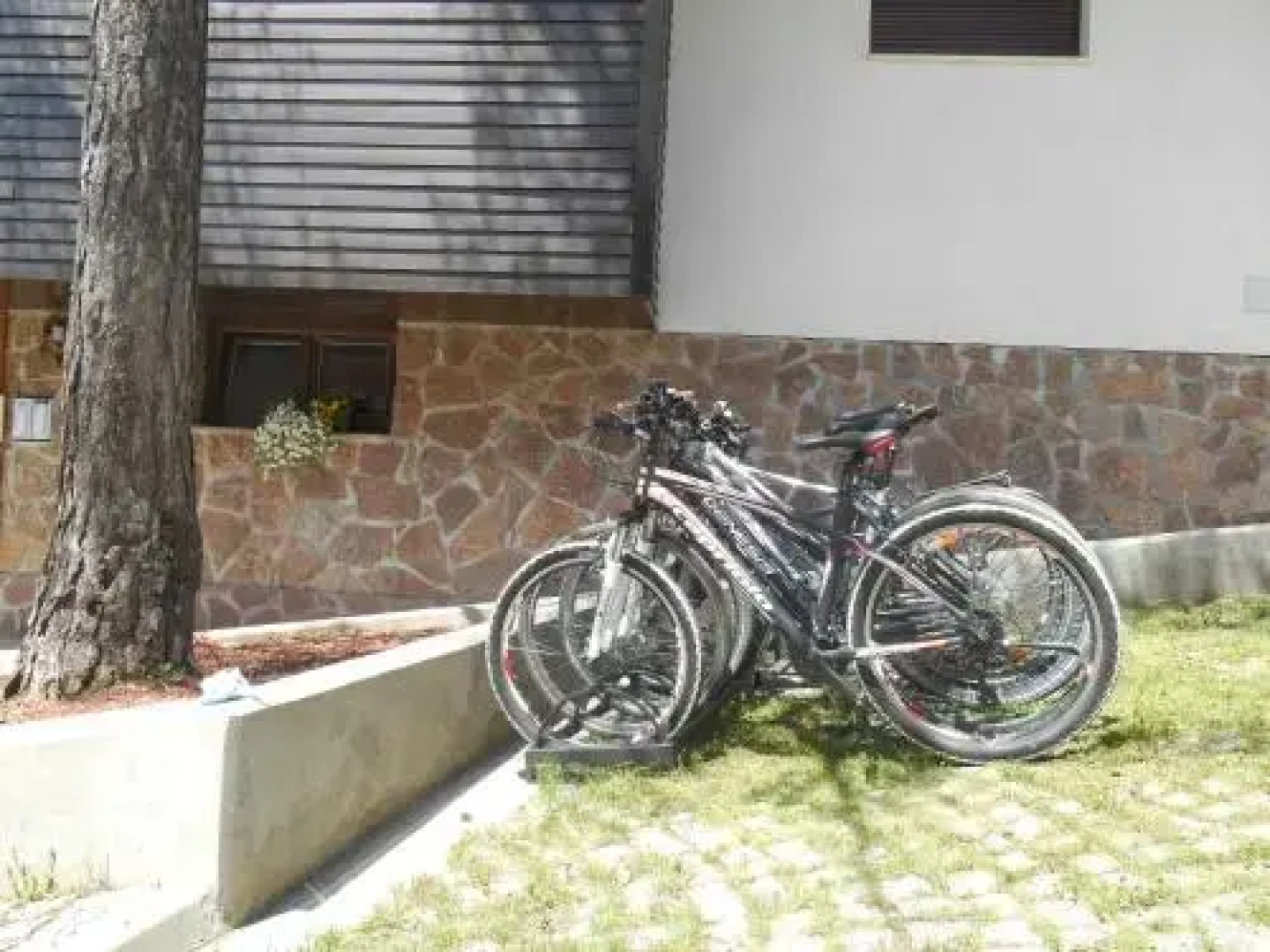 Vila Plamenac