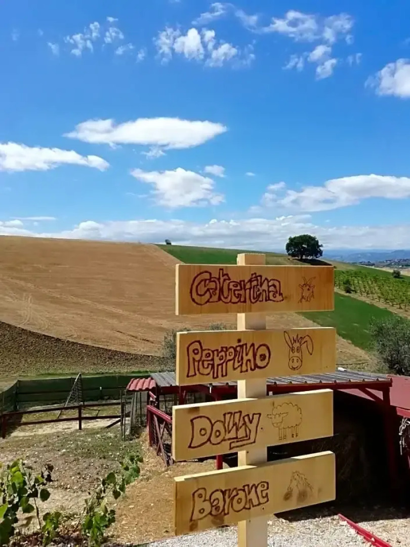 B&B Gli amici del tubarello